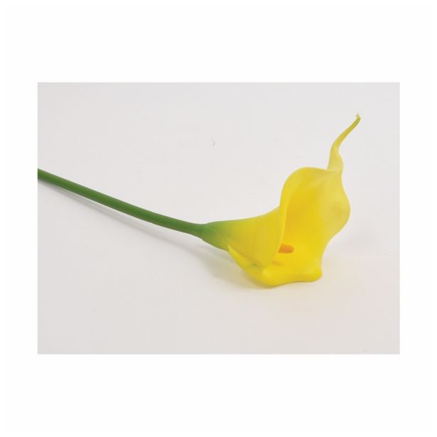 SVILENO CVETJE KALA ENOJNA RUMENA