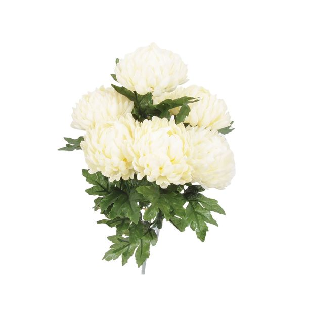 SVILENO CVETJE KRIZANTEMA ŠOPEK X 7 KREM