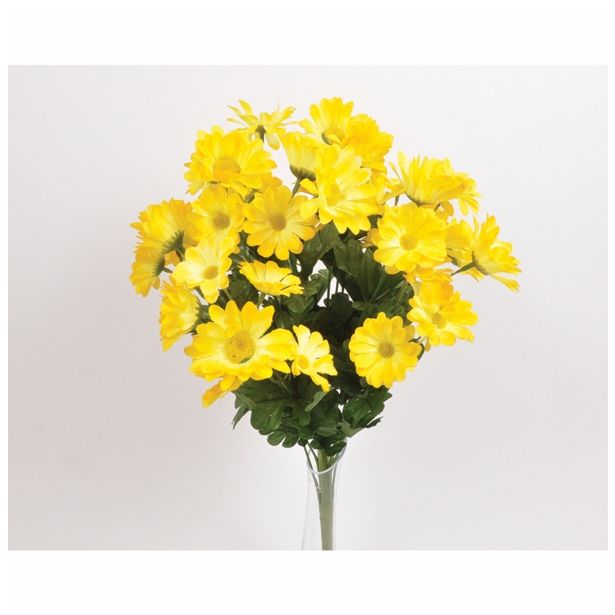 SVILENO CVETJE MARJETICA ŠOPEK X 18/54 ROŽIC RUMENA