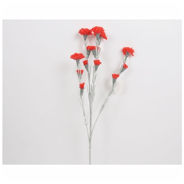 SVILENO CVETJE NAGELJ VEJICA X 5 RDEČA