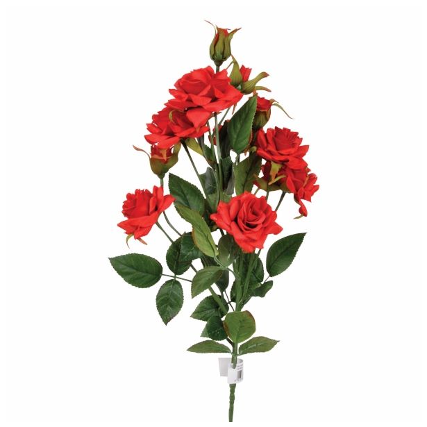 SVILENO CVETJE VRTNICA VEJICA RDEČA