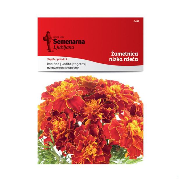 TAGETES SEMENARNA NIZEK RDEČ 5438