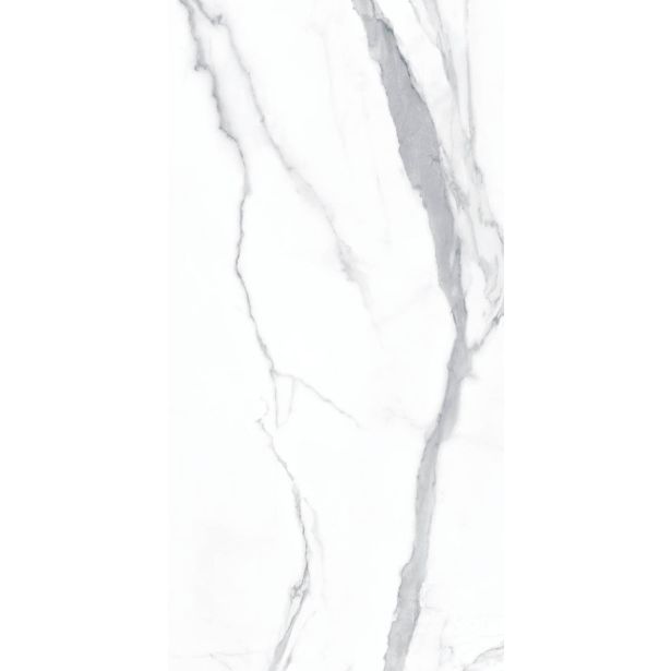 TALNA PLOŠČICA HERBERIA MARMI PREGIATI STATUARIO MATT RET 60X120