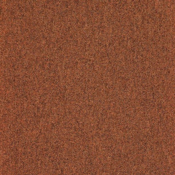 TAPISON MASTER 066 T.RJAV 4 M