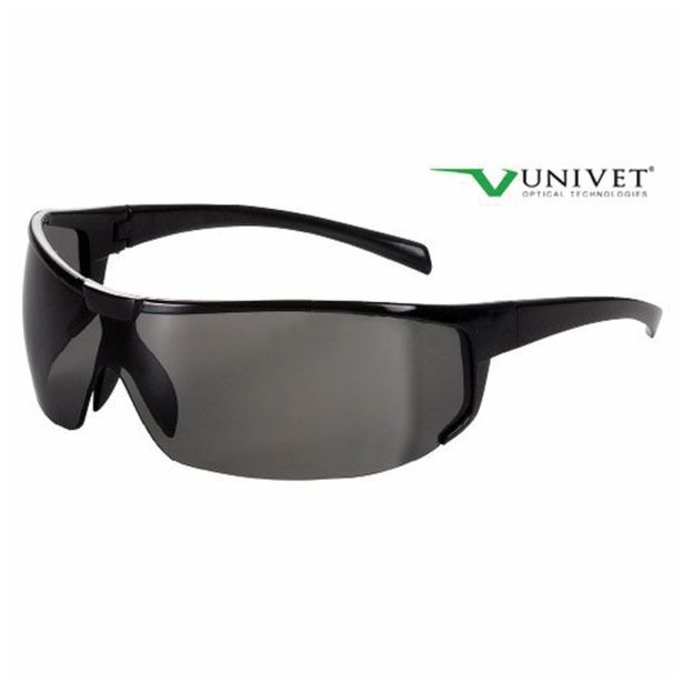 OČALA ZA DELO, PROSTI ČAS TEMNA STEKLA