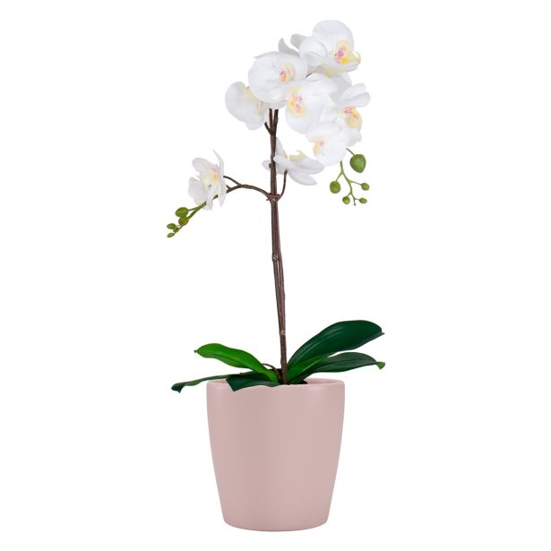 KERAMIČNI NOTRANJI LONEC THALIA 14 CM ANTIČNO ROZA