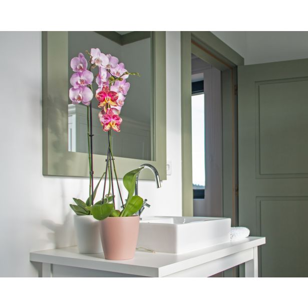 KERAMIČNI NOTRANJI LONEC THALIA 14 CM BEL