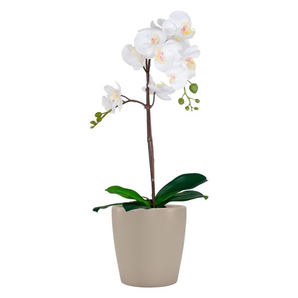 KERAMIČNI NOTRANJI LONEC THALIA 14 CM BEŽ