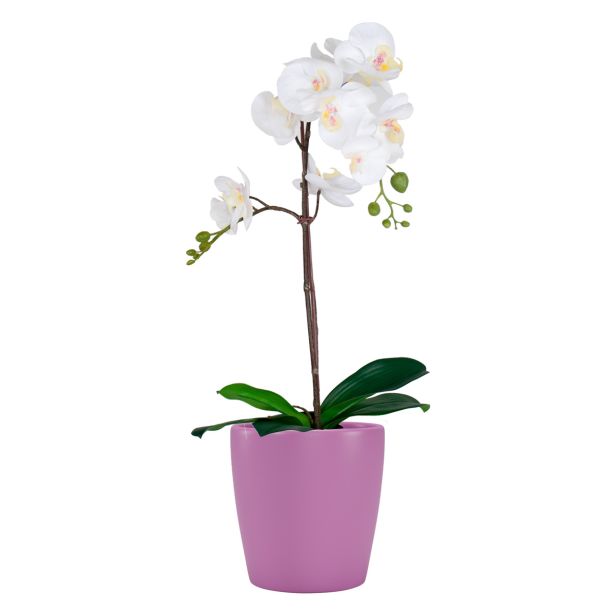 KERAMIČNI NOTRANJI LONEC THALIA 14 CM ROZA