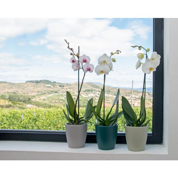 KERAMIČNI NOTRANJI LONEC THALIA 14 CM TEMNO SIV