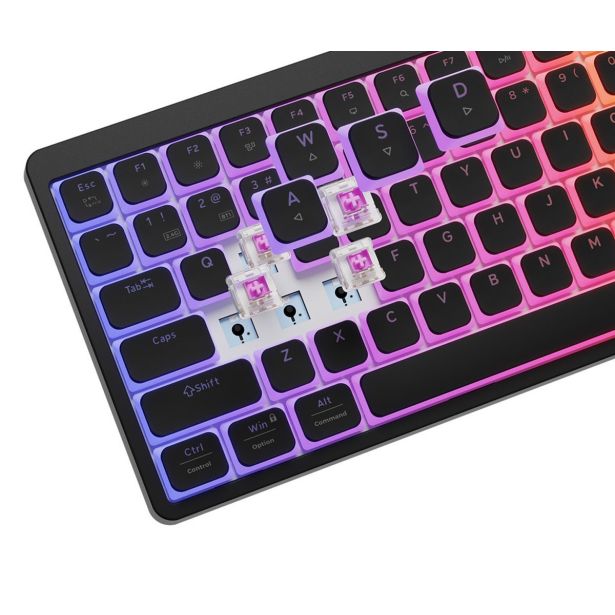 TIPKOVNICA GENESIS THOR 430 TKL GAMING BREŽIČNA