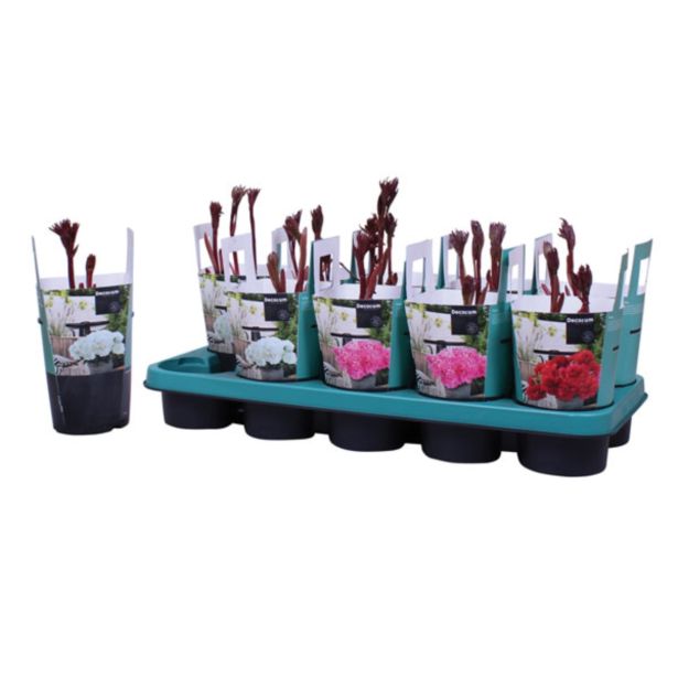 TRAJNICA POTONIKA L12