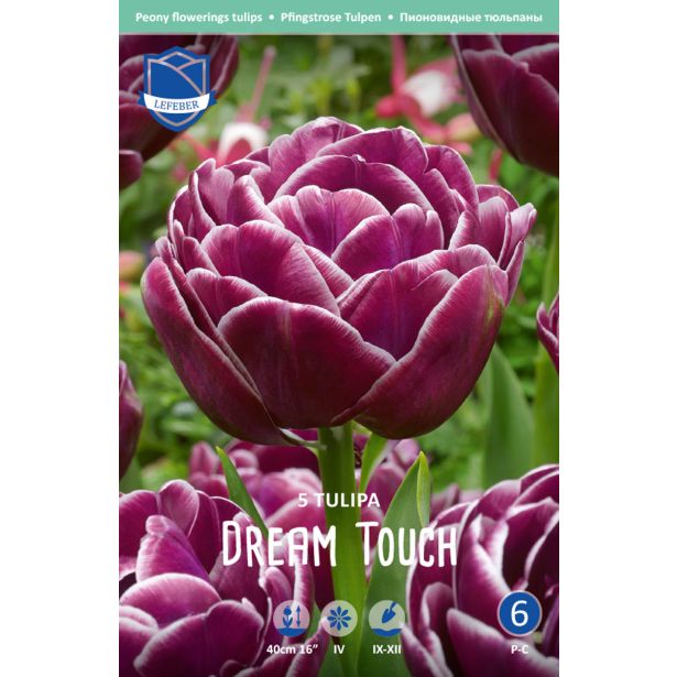 TULIPANI DREAM TOUCH