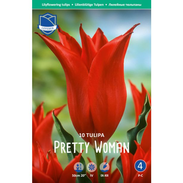 TULIPANI PRETTY WOMAN