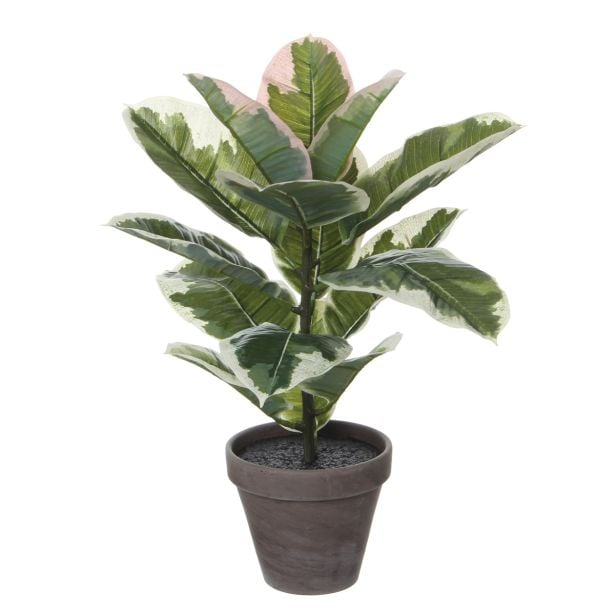 GUMOVEC ZELEN V LONCU STAN SIVEM D13,5CM - H47CM