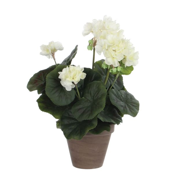 UMETNA LONČNICA MICA PELARGONIJA KREM V SIVEM H34XD20CM