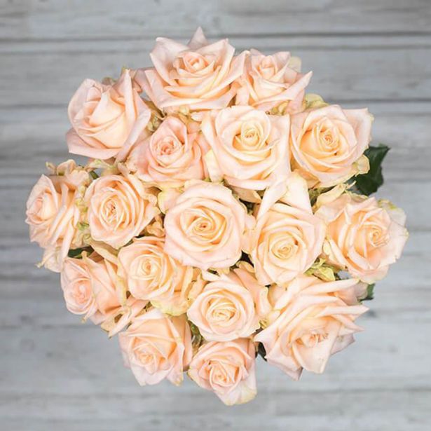 UMETNI ŠOPEK IZ VRTNIC