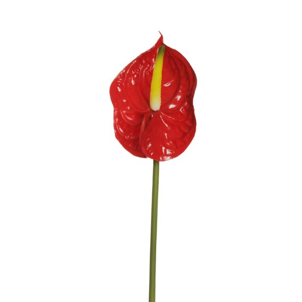 UMETNO CVETJE EVERGREENS ANTHURIUM RDEČ