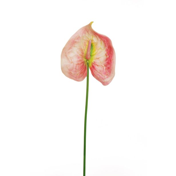 UMETNO CVETJE EVERGREENS ANTHURIUM ROZA ZELEN