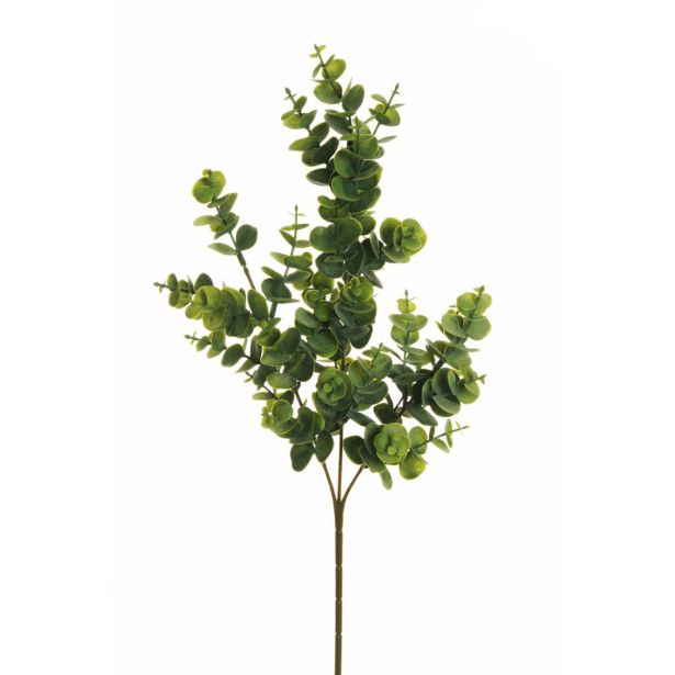 UMETNO CVETJE EVERGREENS EVKALIPTUS CINERA ZELENO SIV 66 CM