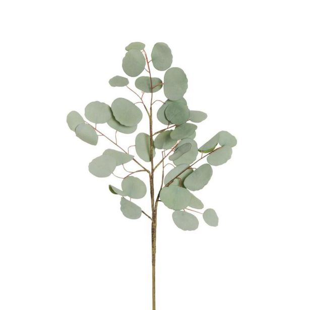 UMETNO CVETJE EVERGREENS EVKALIPTUS V ŠOPKU DRY LOOK