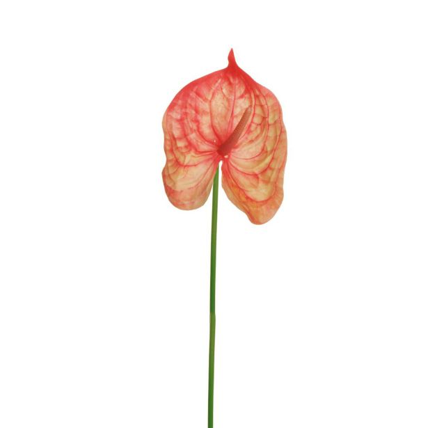 UMETNO CVETJE EVERGREENS FLAMINGOVEC NA STEBLU ORANŽEN 65 CM