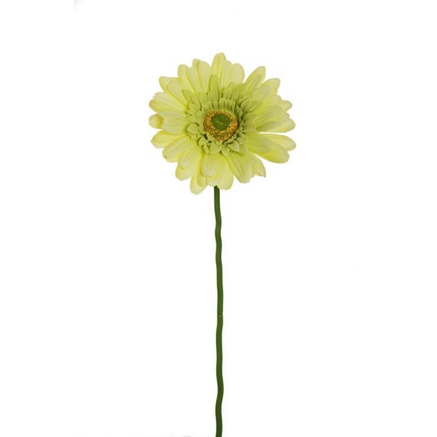 UMETNO CVETJE EVERGREENS GERBERA RUMENO ZELENA
