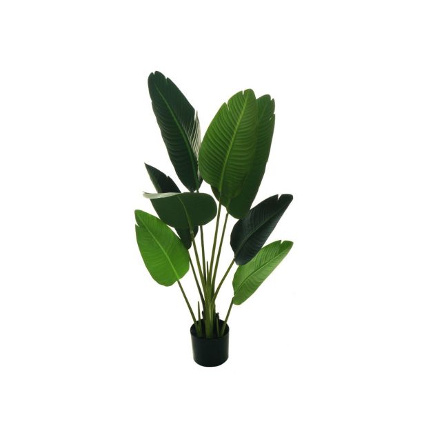UMETNO CVETJE EVERGREENS STRELICIJA V LONČKU ZELENA 120 CM