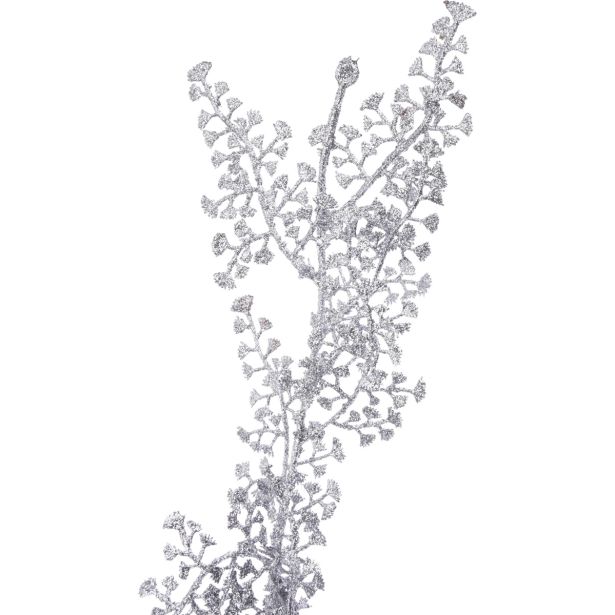 SREBRNA VEJICA 170 CM