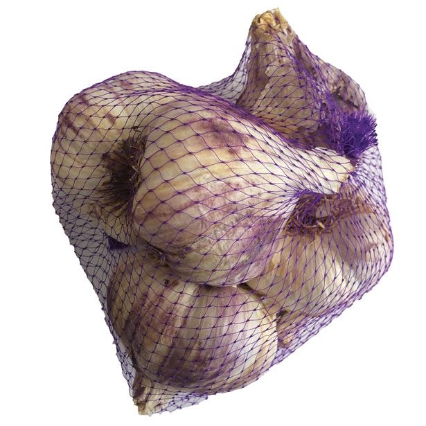 ČESEN VIJOLIČEN GERMIDOUR 500G