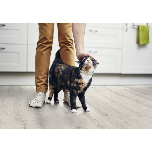 VINIL PLOŠČA, LVT SENSO CLIC 2 PECAN SVETLI 1239X212X4.2 MM