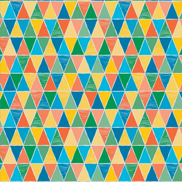 VINIL V ROLI EXCLUSIVE 300 6578101 4 M