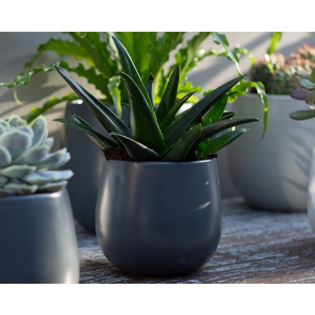 KERAMIČNI NOTRANJI LONEC VITORIA 14 CM TEMNO SIV