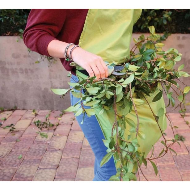 VRTNARSKI PRIPOMOČEK BIOTOP PREDPASNIK ZA NABIRANJE