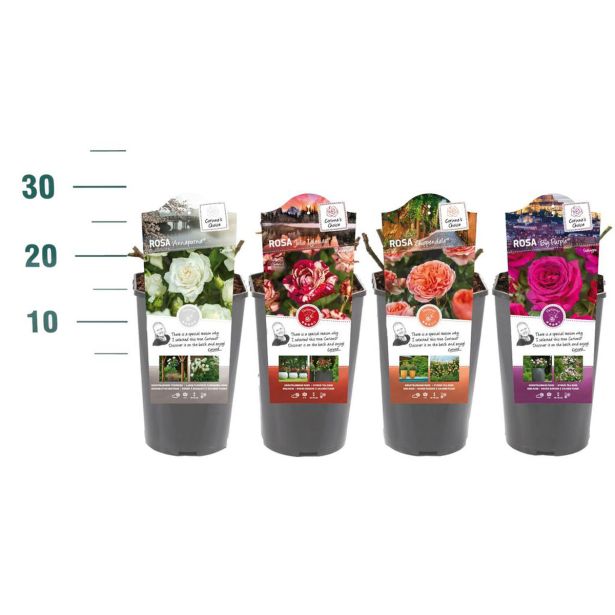 VRTNICA DIŠEČA PREMIUM L3 L