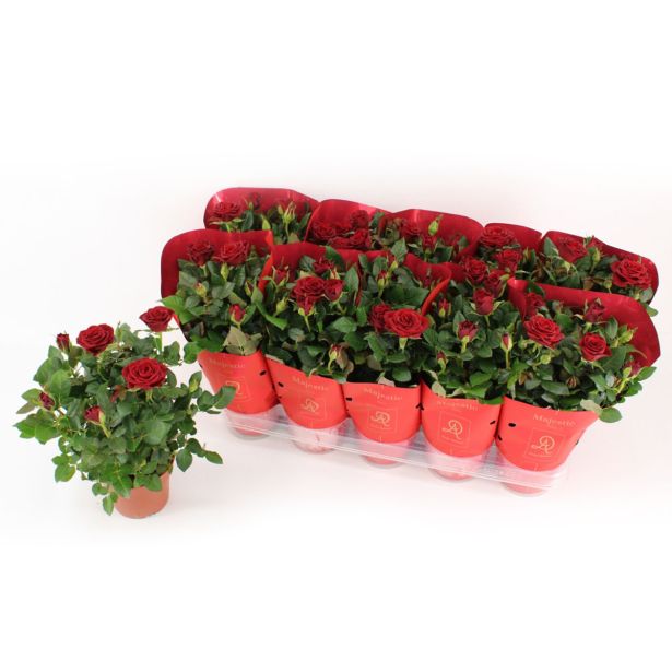 VRTNICA SOBNA KORDANA L12 CM