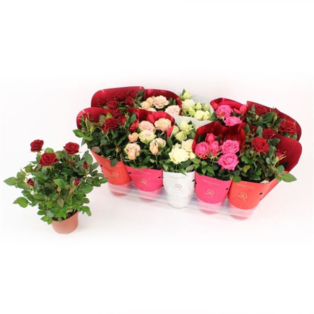 VRTNICA SOBNA KORDANA L12 CM