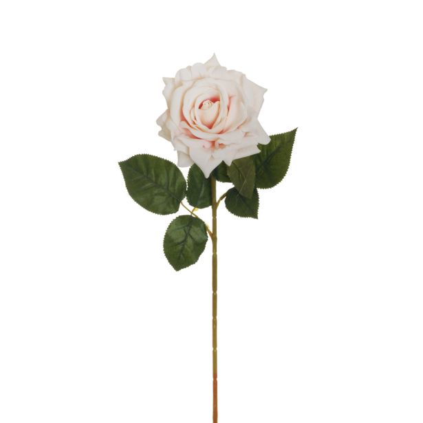 UMETNO CVETJE EVERGREENS VRTNICA VELVET REGINA SVETLO ROZA