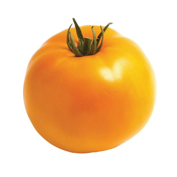 PLODOVKE CEPLJEN PARADIŽNIK MAXI ORANGE