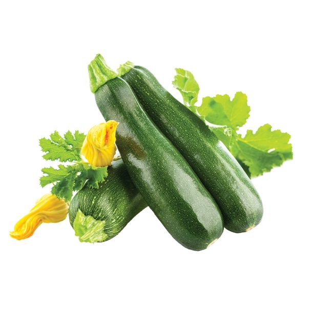 PLODOVKE DOBRO & ZDRAVO BUČKE KIMBER F1