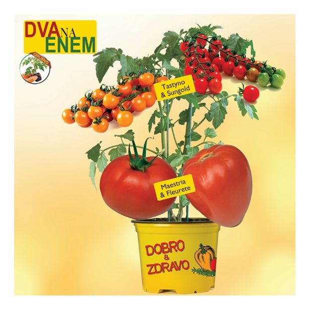 VRTNINA DOBRO & ZDRAVO CEPLJEN PARADIŽNIK 2/1