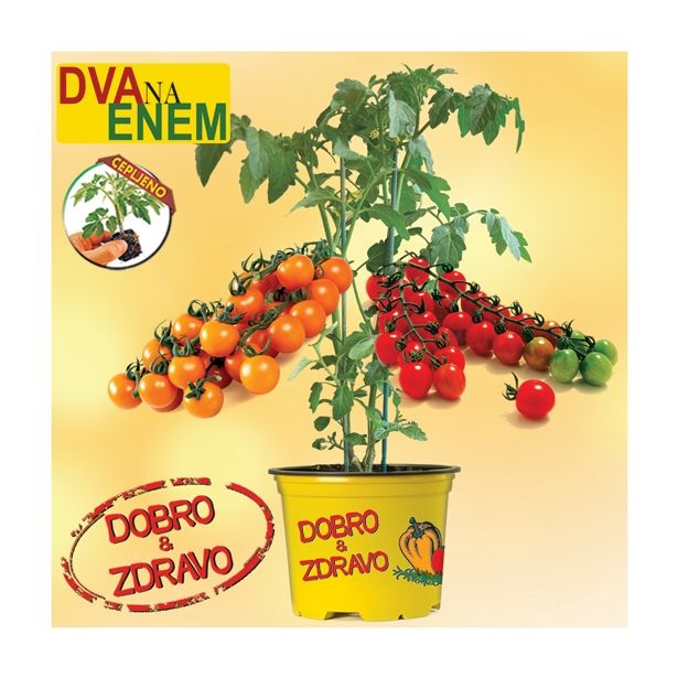 VRTNINA DOBRO & ZDRAVO CEPLJEN PARADIŽNIK 2/1