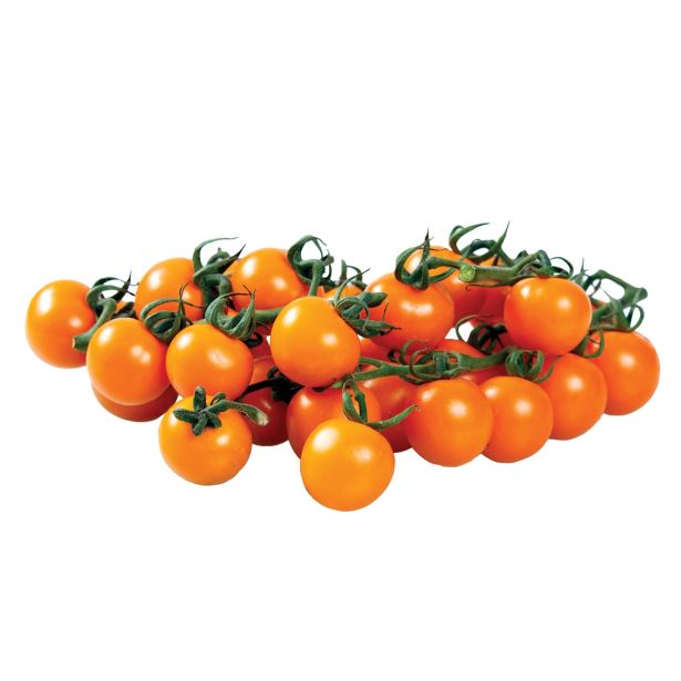 PLODOVKE DOBRO & ZDRAVO CEPLJEN PARADIŽNIK SUNGOLD F1