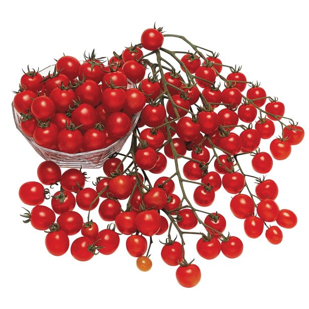 VRTNINA DOBRO & ZDRAVO CEPLJENI PARADIŽNIK PEPE F1