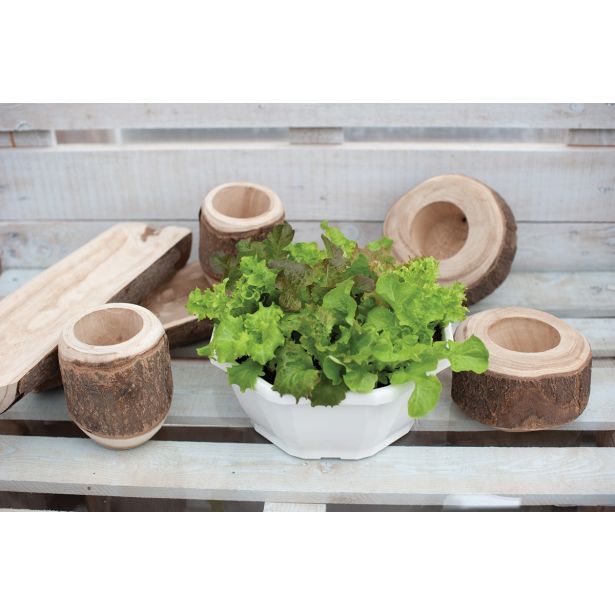 LISTNA ZELENJAVA MEŠANICA SOLAT