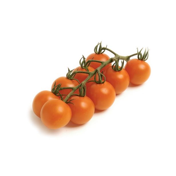 PLODOVKE VOLMARY CEPLJEN PARADIŽNIK MANOLO ORANGE