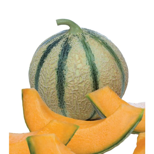 PLODOVKE VOLMARY CEPLJENA MELONA ANASTA