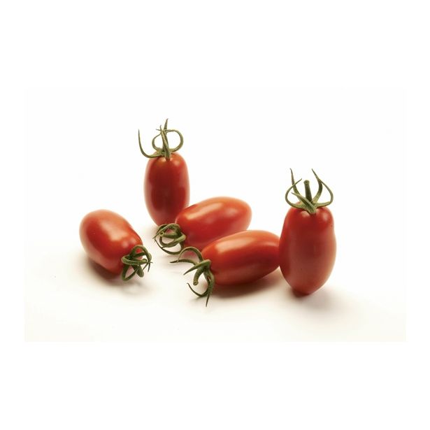 PLODOVKE VOLMARY CEPLJENI PARADIŽNIK CAPRESE F1 LONEC 12 CM