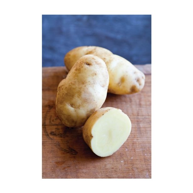 VRTNINA VOLMARY KROMPIR