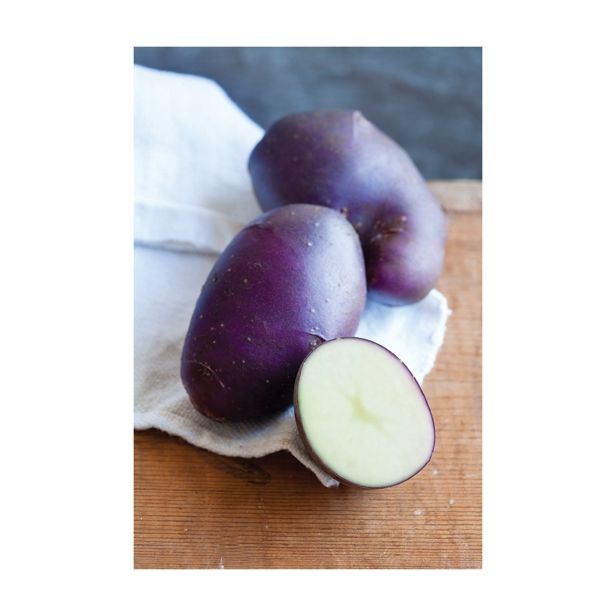 VRTNINA VOLMARY KROMPIR